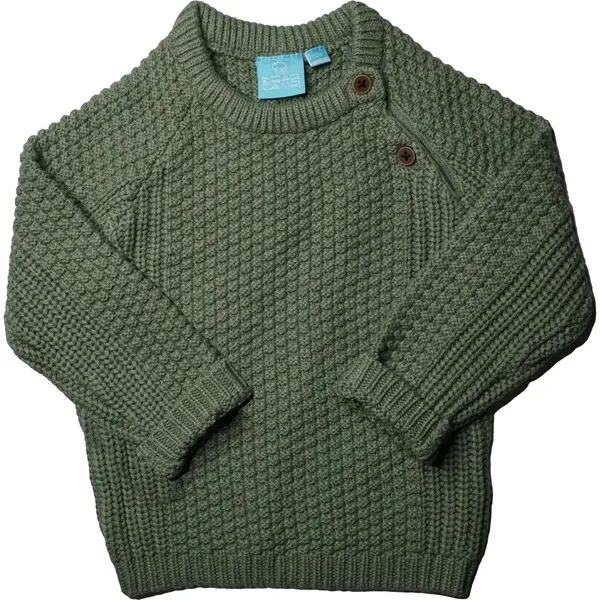 Bear Camp Ronald Raglan Cable Sweater in Sage Green