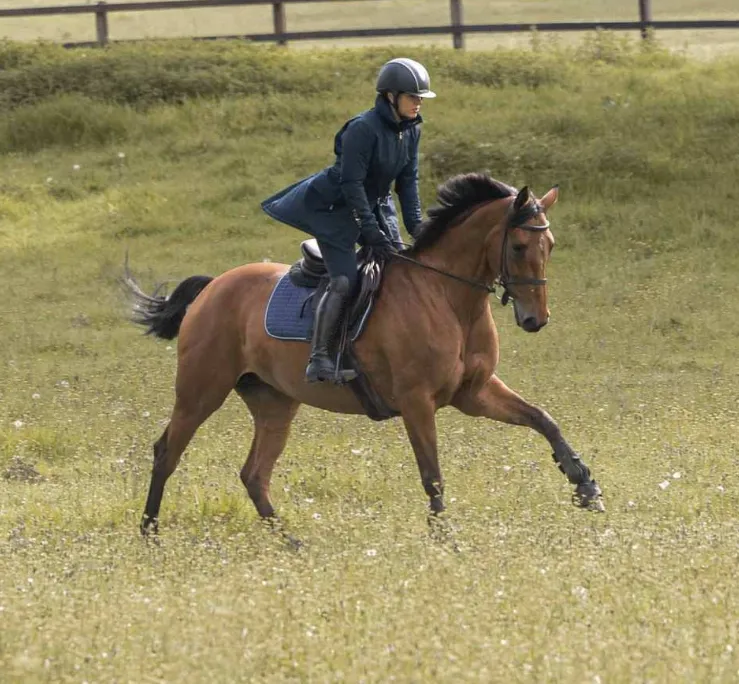 Long Riding Coat